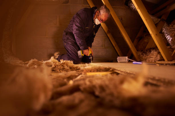 Types of Insulation We Offer in Curwensville, PA